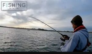 screenshot 11 1 2026 113328 tse3.mm.bing.net